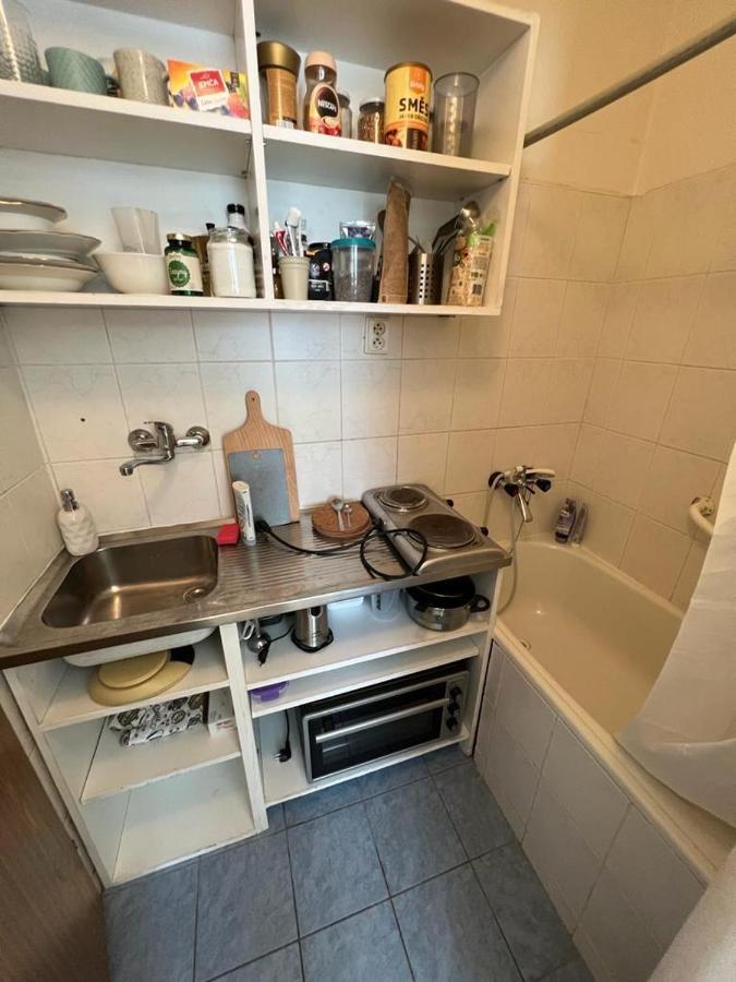 Apartment Lublanska 48 プラハ エクステリア 写真